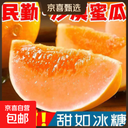 京东 甘肃特产民勤蜜瓜甜瓜 沙瓤脆甜无渣 当季鲜果现采现发不催熟 带箱9–10斤 净重8-9斤