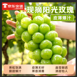 勿语 阳光玫瑰葡萄 铂金果 5斤（单果8g+）净重4斤