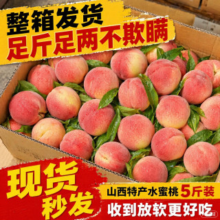 京李记 山西水蜜桃 单果130g+ 净重4.5斤