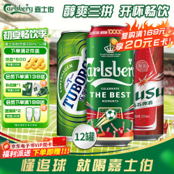 嘉士伯 啤酒组合装  整箱装 500mL