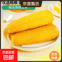 京东 新鲜黄糯玉米真空包装选10棒更划算速食玉米低脂粗粮代餐杂粮早餐包邮 福利专项 4棒 200g起/棒