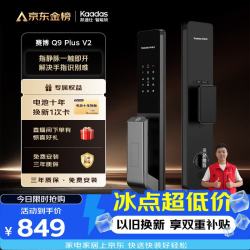 凯迪仕 Q9 Plus V2 指静脉识别 智能门锁