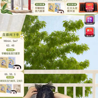 倍轻松京自让君更轻松二