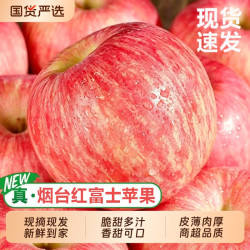 一棵果树 云南昭通红富士苹果