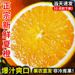红源鲜 橙子夏橙脐橙湖北秭归新鲜大果甜春橙手剥橙整箱当季水果现摘