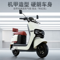 立马电动车 72KM续航 电动摩托车 铅酸电池 NFC智能  淡雾灰白 20Ah 72V