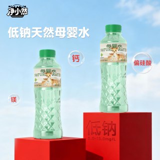 净小然 天然矿泉水 4560ml 380ml*12瓶