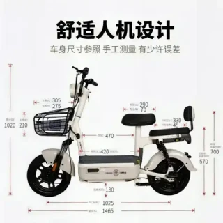 今日必买：驰小虎 长续航 电动自行车  浅绿 20Ah 48V
