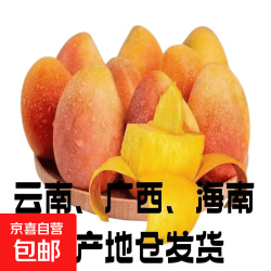 京东 正宗海南贵妃芒新鲜当季生鲜水果自然树熟皮薄肉厚芒果 贵妃芒带箱5斤150-200g净重4.5斤