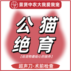 超声刀公猫绝育基础版