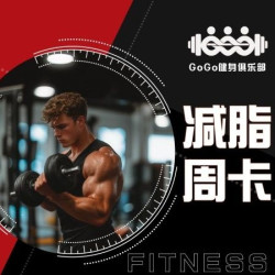 新手入门・高效燃脂·塑型