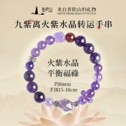 普陀山 九紫离火天然紫水晶手链 紫水晶手串 1105020110600