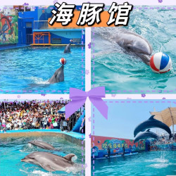 新澳海底世界三馆单人优惠票