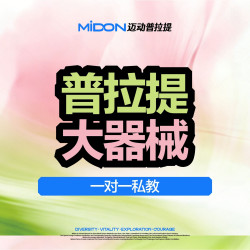 减脂/塑形/调理