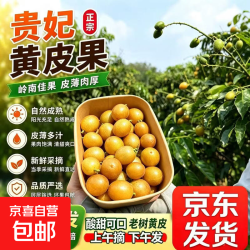 京东 广西贵妃黄皮果当季新鲜酸甜水果现摘现发 [净2斤]京东锁鲜到家贵妃黄皮果