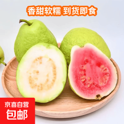 京东 即食广东红心芭乐双拼白心软糯多汁低糖轻卡冰淇淋 新鲜软糯香甜双拼红白芭乐 净重3斤