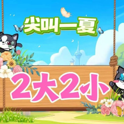 两大两小票