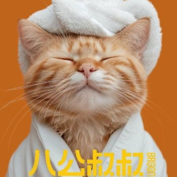 猫洗澡｜1-4.9KG｜短毛