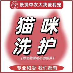 猫咪高端精洗/羊驼普洗