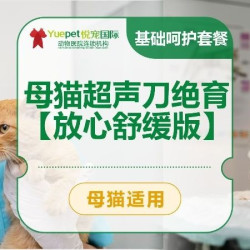 母猫超声刀绝育手术|基础呵护套餐