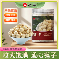 仁和 湘潭产去芯磨皮白莲子 桂圆百合银耳羹煲汤食材100g*3罐