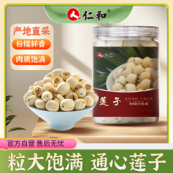 仁和 湘潭产去芯磨皮白莲子 桂圆百合银耳羹煲汤食材100g*3罐