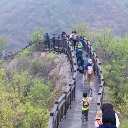 橡树谷徒步+书咖休闲成人票