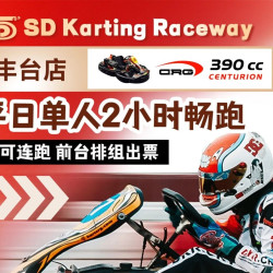意大利进口大排量390cc