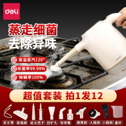 得力 家用蒸汽清洁机小型厨房家电油烟机清洗消毒机大功率高温
