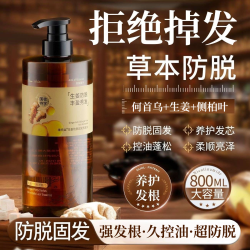 Vetes 生姜洗发水控油蓬松防脱头发持久留香去屑柔顺家庭洗头膏推荐男女