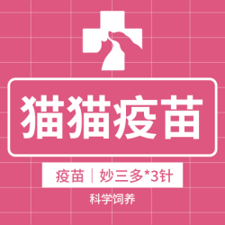 妙三多猫三联3针｜到店服务