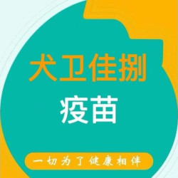 犬八联1针 ｜ 卫佳捌｜下午六点前｜到店服务