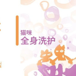 猫洗澡｜短毛｜基础洗护｜猫咪·全身洗护（短毛）