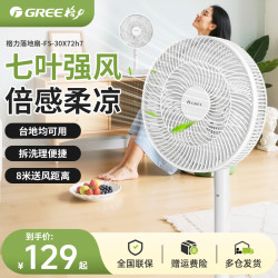 格力 电风扇落地扇循环扇轻音大风力静音落地扇