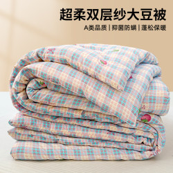 大豆纤维双层纱加厚保暖被芯冬被 230*229cm 白色