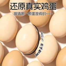 木制实心仿真鸡蛋模型过家家玩具