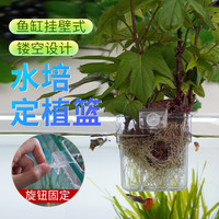 宠大条水培红薯定植篮鱼缸造景装饰水培植物篮水草种植杯旋钮壁挂