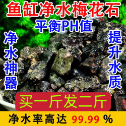安山岩玉鱼缸石梅花玉溪流石鱼缸石造景石鱼缸净水养鱼鱼缸造景