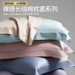 长绒棉枕套轻奢全棉家用纯色枕头套48*74cm新款纯棉丝滑高级感