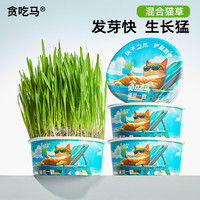贪吃马 夏季猫草罐头四季泡面猫草猫咪零食化毛猫草排毛化毛去毛球