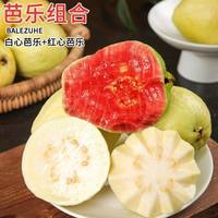 鲜宝道 广西红白心芭乐 100-200g 单果 2.5斤