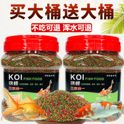 确美同 水宝宝鱼食金鱼锦鲤鱼饲料颗粒鱼粮观赏鱼专用上浮小型孔雀鱼营养