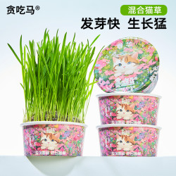 贪吃马 春季混合猫草化毛排毛宠物用品猫咪零食猫草排毛化毛去毛球