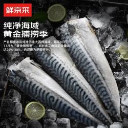 鲜京采 挪威青花鱼净重700g