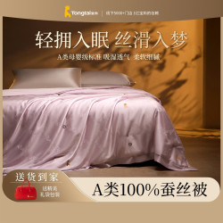 童泰 加厚保暖蚕丝被 春秋被冬被 高端被芯