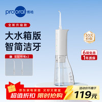 博皓 大水箱便携式电动冲洗器水牙线