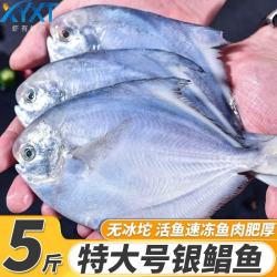 虾有虾途 特大银鲳鱼装每斤约3-4条