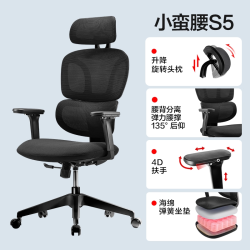 网易严选 S2 人体工学电脑椅 升降扶手款