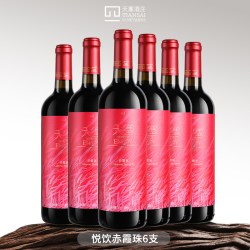 天塞酒庄 整箱送好礼 天塞酒庄干红葡萄酒6支 整箱红酒