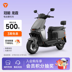 雅迪 冠能龙霆 电动摩托车时尚男士通勤代步30L大座桶防盗智能电动车 颜色到店自选